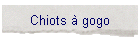 Chiots  gogo